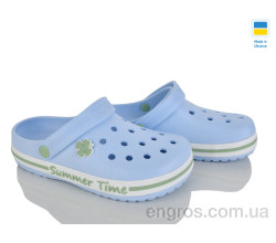 Кроксы Golden Lion